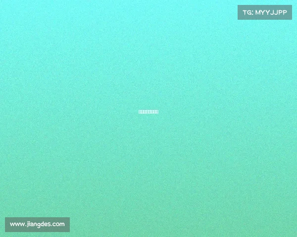 世界主要排球赛事